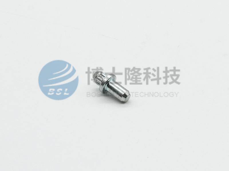 1DSC05097